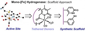 ROSE_Scaffold_TOC